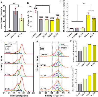 Multifunctional Baicalin-Modified Contact Lens for Preventing Infection, Regulating the Ocular Surface Microenvironment and Promoting Corneal Repair